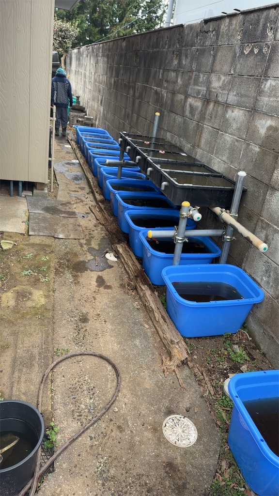 f:id:taico0108634kun:20250116121605j:image