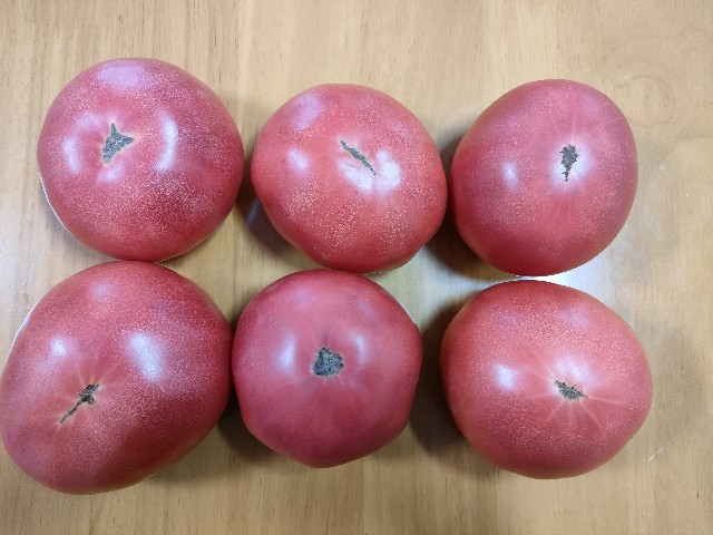 f:id:taicoronomori:20210903135123j:image