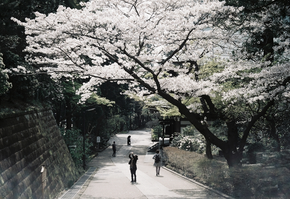 f:id:taiga006:20210405161334j:plain