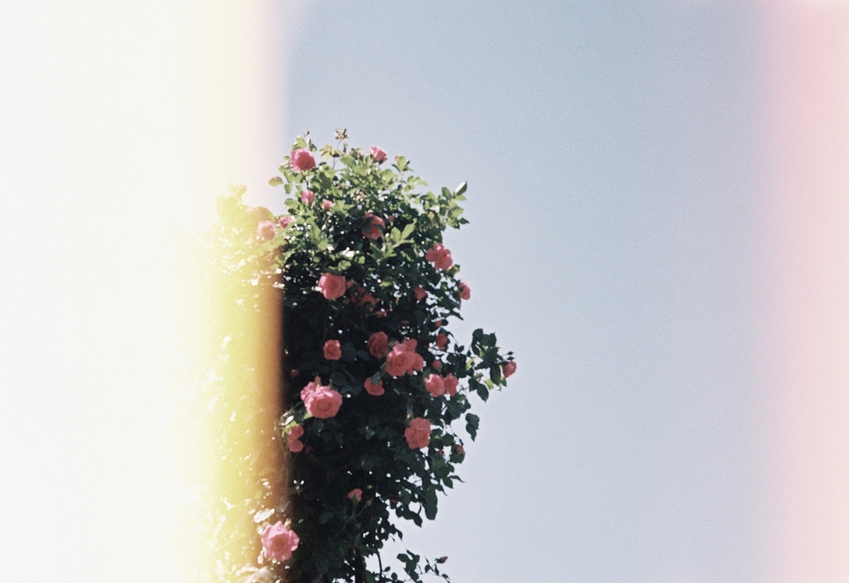f:id:taiga006:20210504003226j:plain