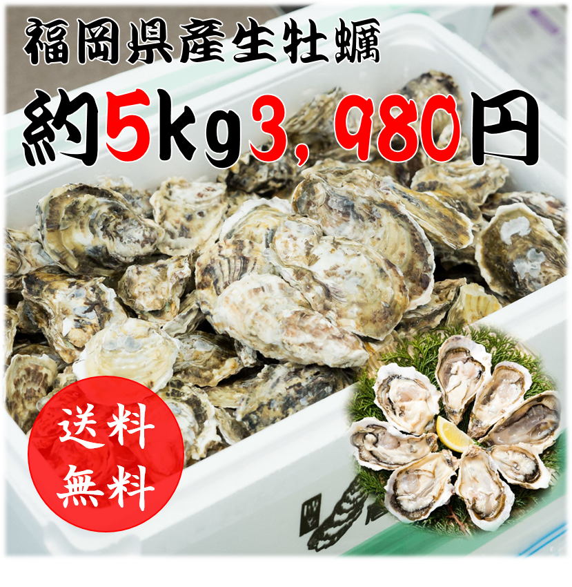 f:id:taigixi:20180504182933p:plain f:id:taigixi:20180504182933p:plain