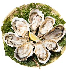 f:id:taigixi:20180504204856p:plain f:id:taigixi:20180504204856p:plain