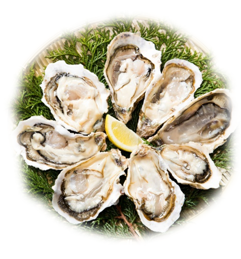 f:id:taigixi:20180504205414p:plain f:id:taigixi:20180504205414p:plain