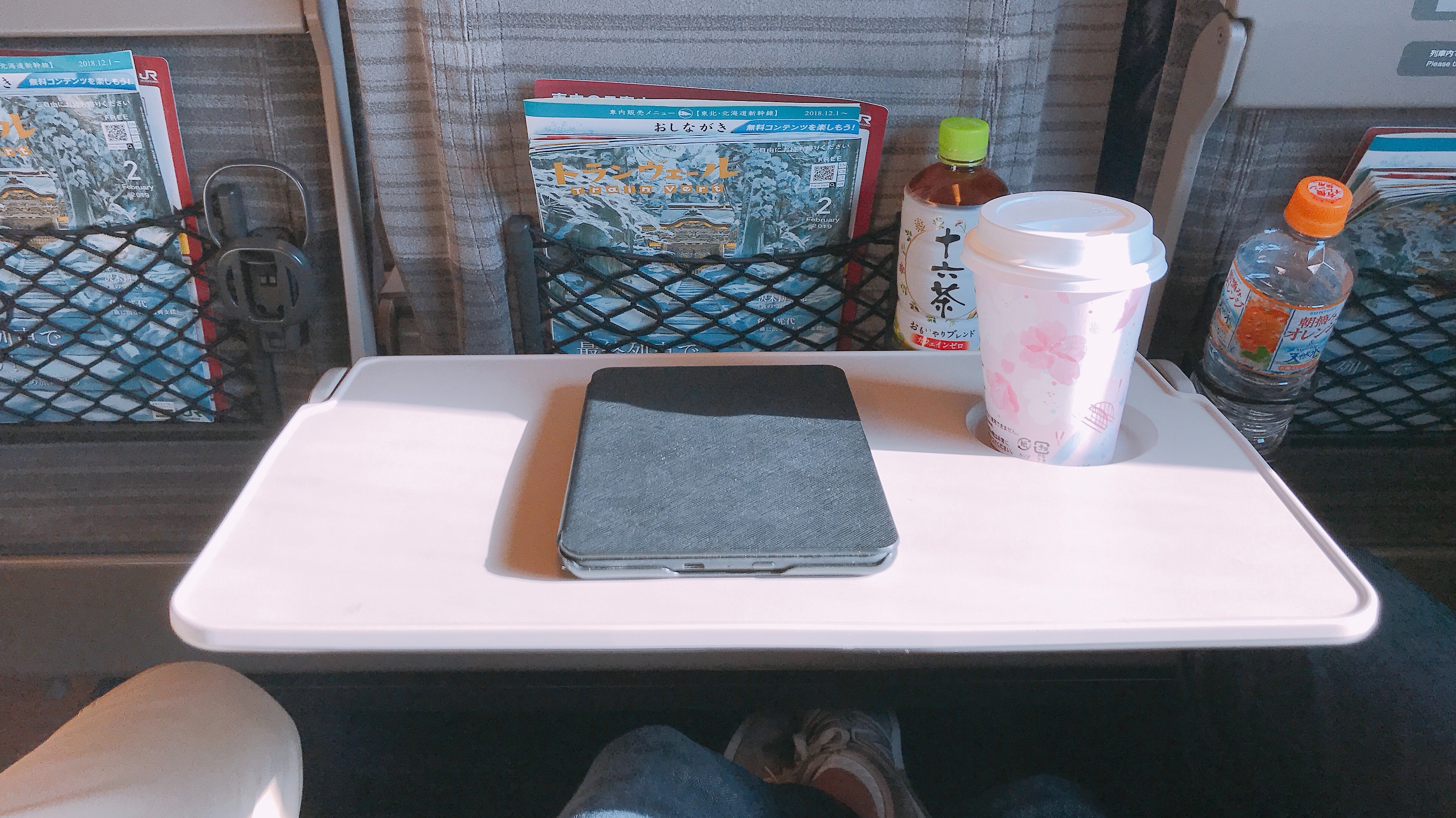 f:id:taigok:20190216085352j:image