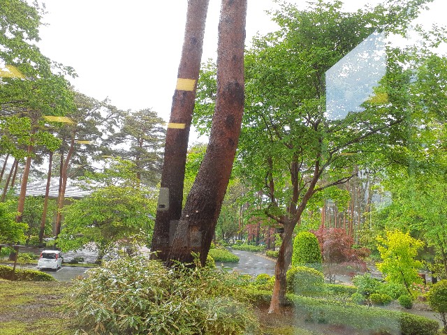 f:id:taijose412ouen:20250517181629j:image