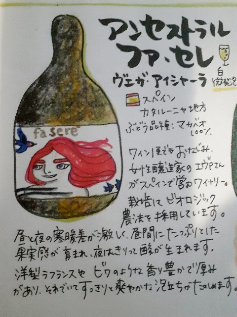 f:id:taijose412ouen:20250520195033j:image
