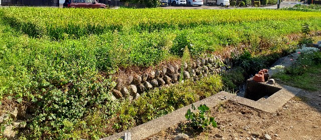 f:id:taijose412ouen:20250824152616j:image