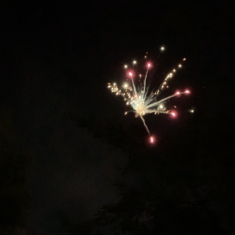 f:id:taijunoie:20190822004930j:plain f:id:taijunoie:20190822004930j:plain