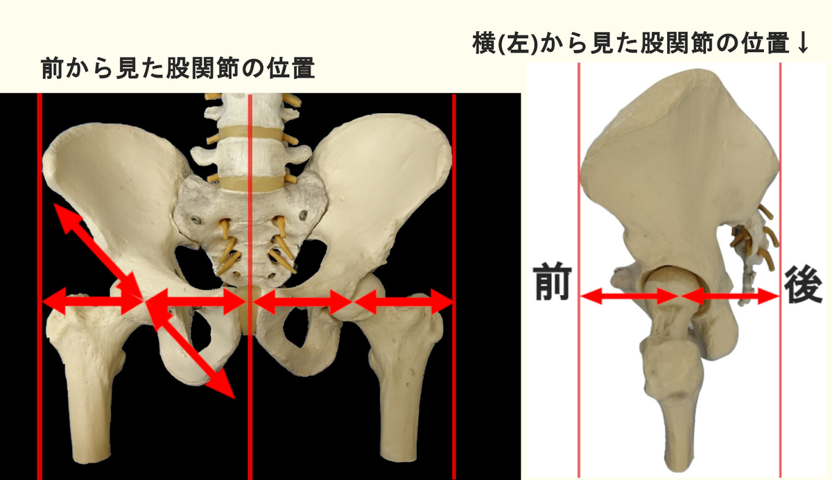 f:id:taikan_training:20191109131601j:plain f:id:taikan_training:20191109131601j:plain