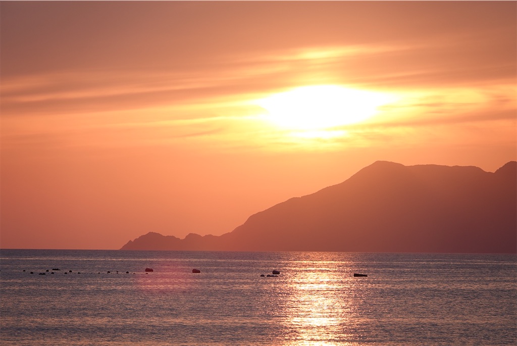 f:id:taiki-y:20220515184507j:image f:id:taiki-y:20220515184507j:image