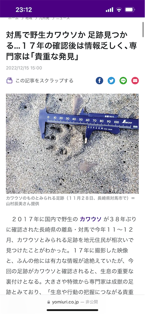f:id:taiki-y:20230330161823p:image f:id:taiki-y:20230330161823p:image