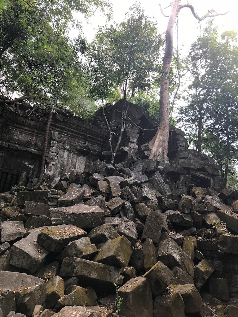 f:id:taikibb0114:20180109212802j:image f:id:taikibb0114:20180109212802j:image