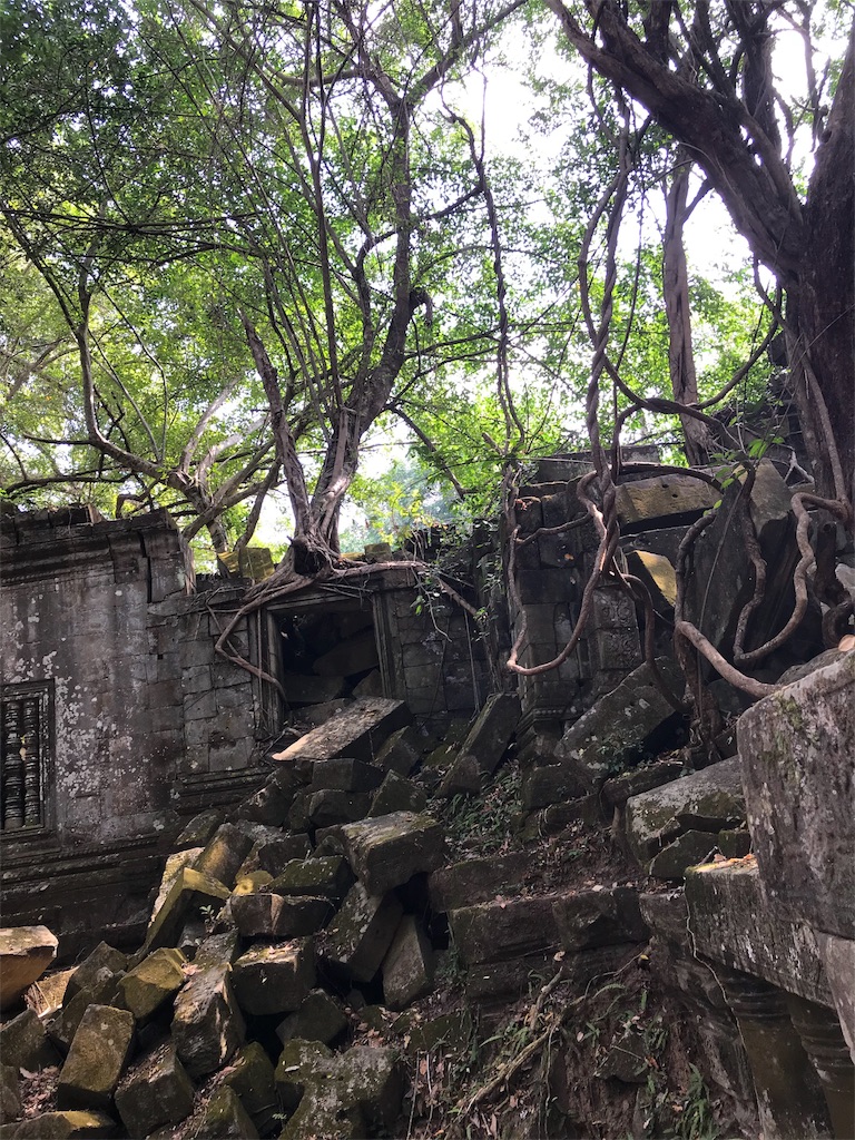 f:id:taikibb0114:20180109213004j:image f:id:taikibb0114:20180109213004j:image