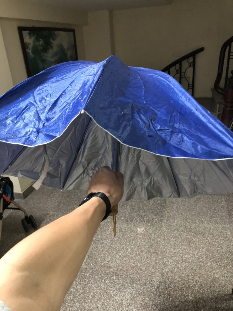 f:id:taikibb0114:20180718230929j:plain