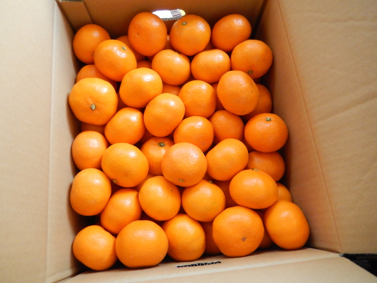 f:id:taiko-ba-ba:20191208200821j:plain f:id:taiko-ba-ba:20191208200821j:plain