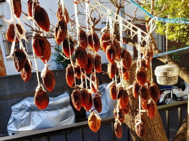 f:id:taiko-ba-ba:20211223081824j:image f:id:taiko-ba-ba:20211223081824j:image