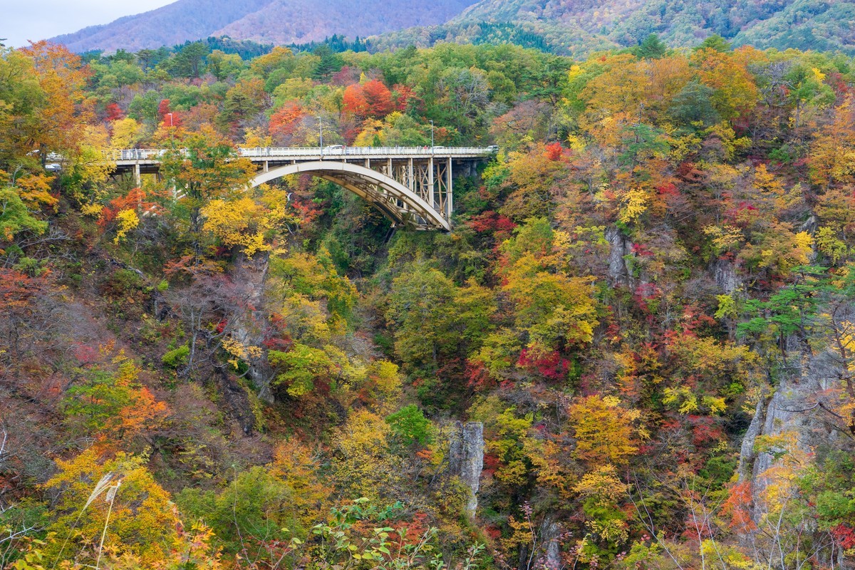 f:id:taiko19xx:20191103123412j:plain