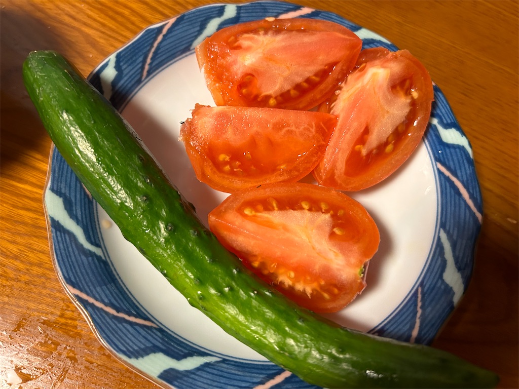 f:id:taiko_ike:20230227234259j:image