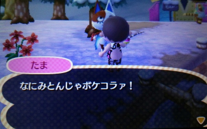 退屈だから3dsの とびだせ どうぶつの森 を始めた 退屈だからブログ作ってみた