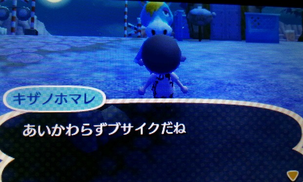 退屈だから3dsの とびだせ どうぶつの森 を始めた 退屈だからブログ作ってみた