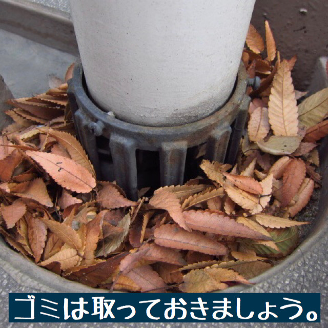 排水口の詰まり写真