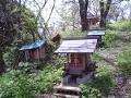 [寺社]粟島の八幡神社本殿