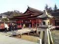 [風景][寺社]厳島神社06