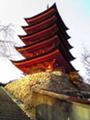 [風景][寺社]厳島神社五重塔