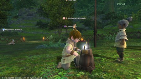 FF14のキャラ