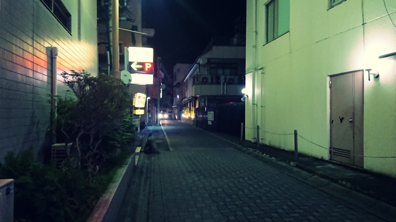 [加工品][街][路地裏][夜景]
