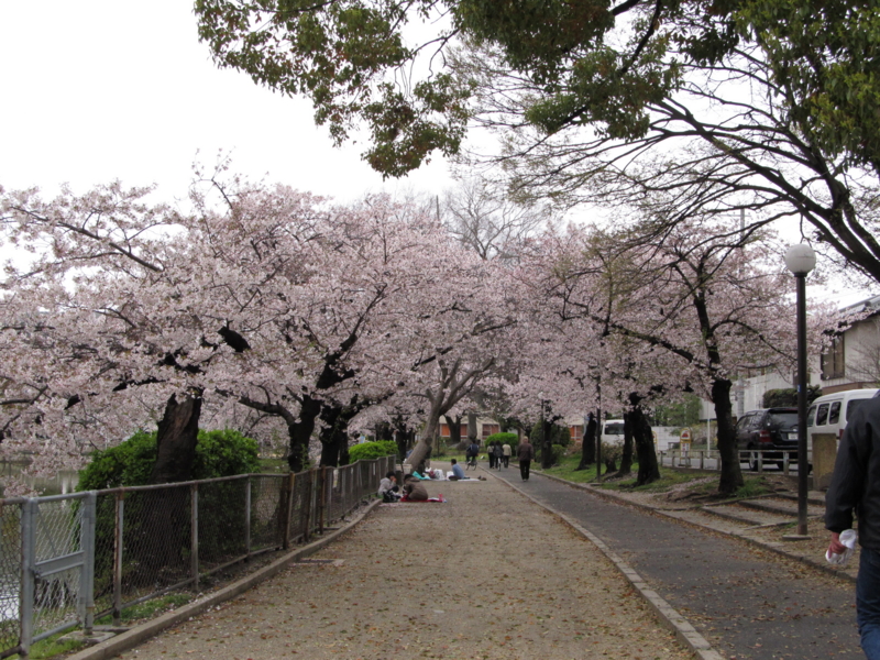 f:id:tails_of_devil:20110409131019j:image