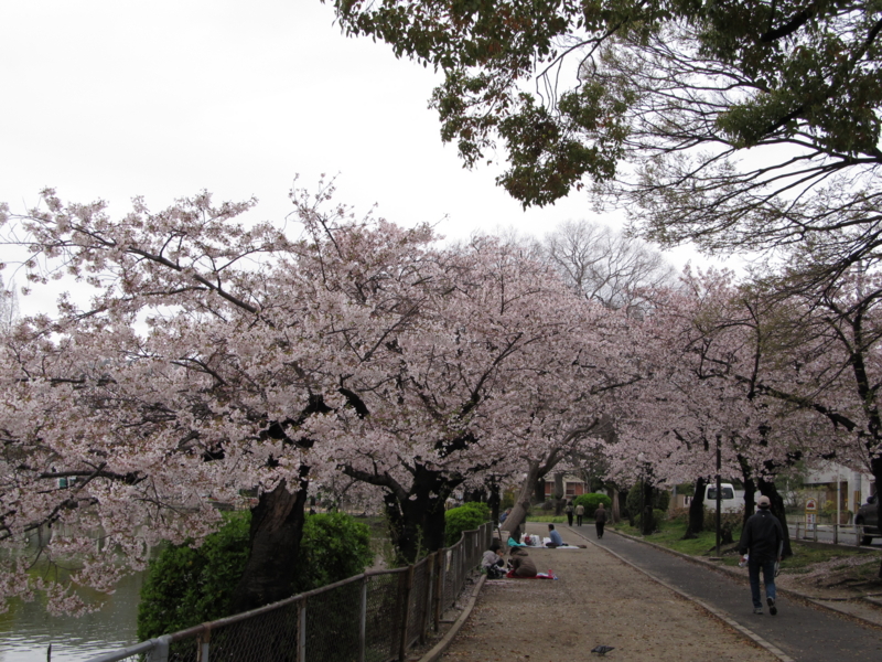 f:id:tails_of_devil:20110409131029j:image