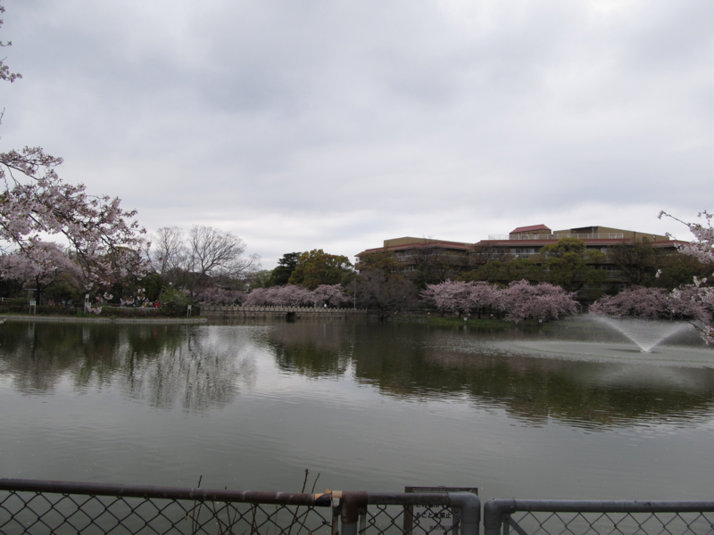 f:id:tails_of_devil:20110409131044j:image