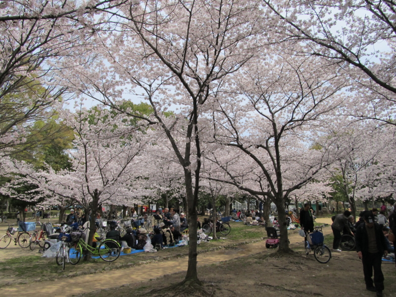f:id:tails_of_devil:20130401135249j:image