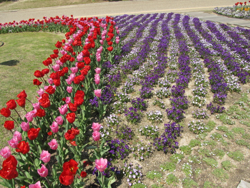 f:id:tails_of_devil:20130413132115j:image