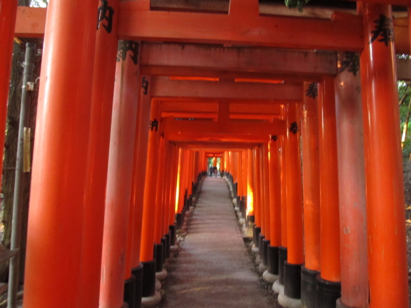 f:id:tails_of_devil:20150827181442j:image