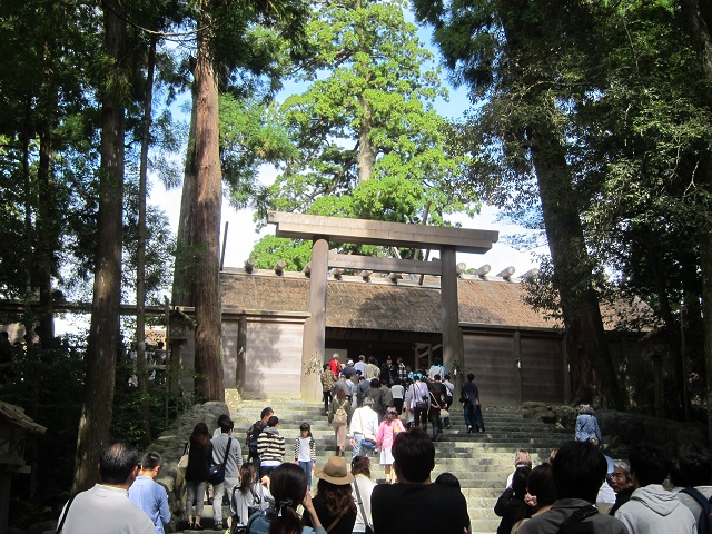 イメージ 5