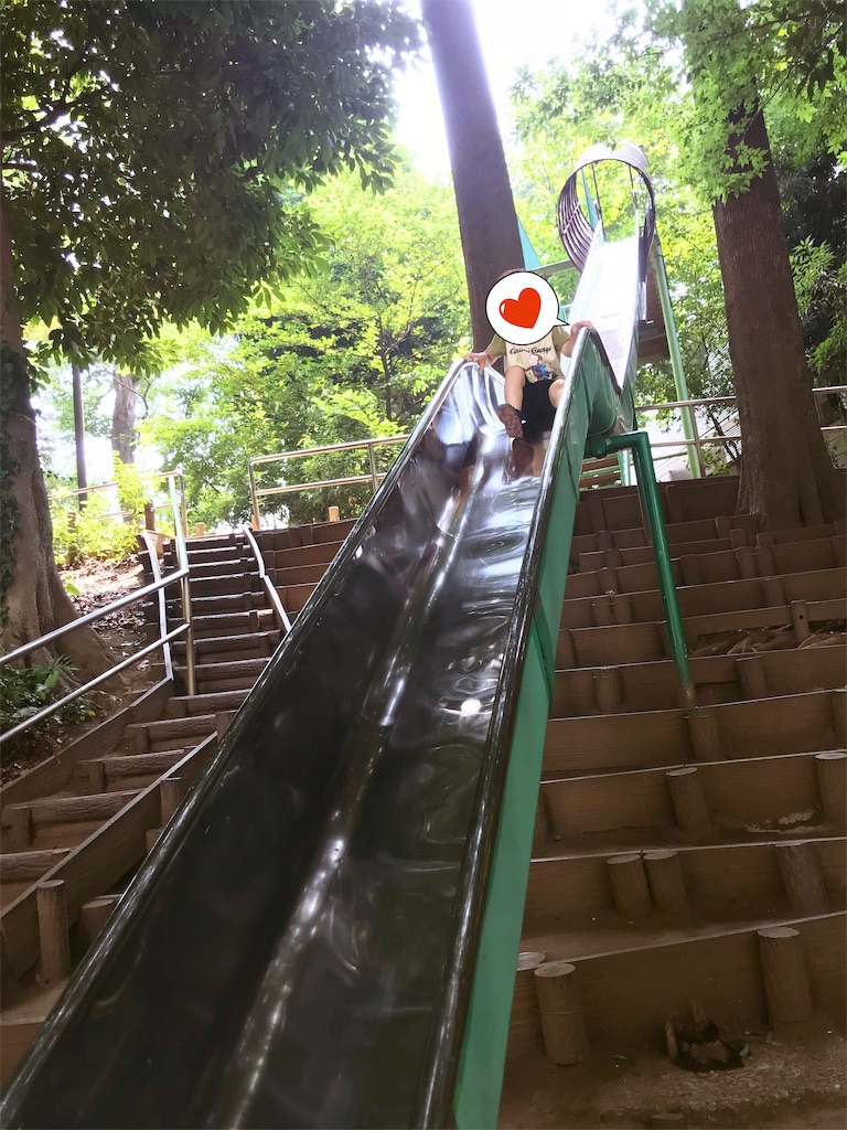 f:id:taimarunana:20190221171429j:image f:id:taimarunana:20190221171429j:image