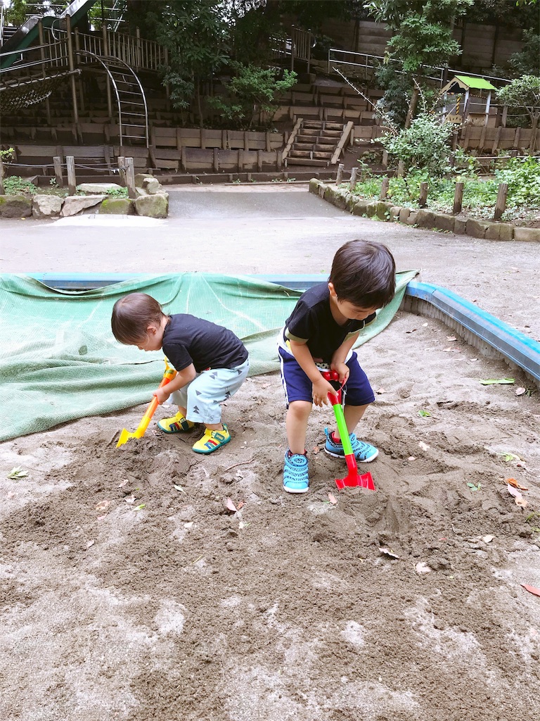 f:id:taimarunana:20190221172836j:image f:id:taimarunana:20190221172836j:image