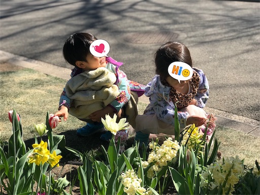 f:id:taimarunana:20190325160153j:image f:id:taimarunana:20190325160153j:image