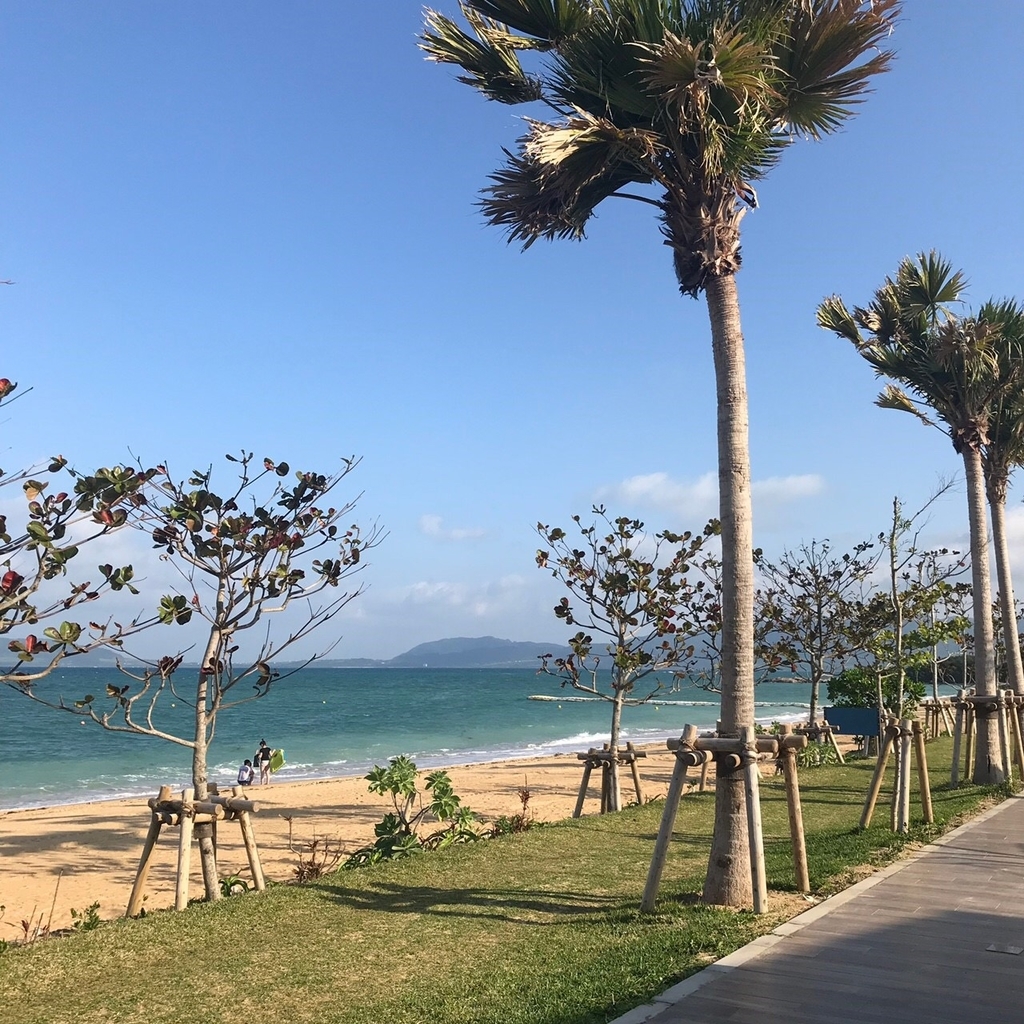 f:id:tainers:20190223184657j:plain f:id:tainers:20190223184657j:plain