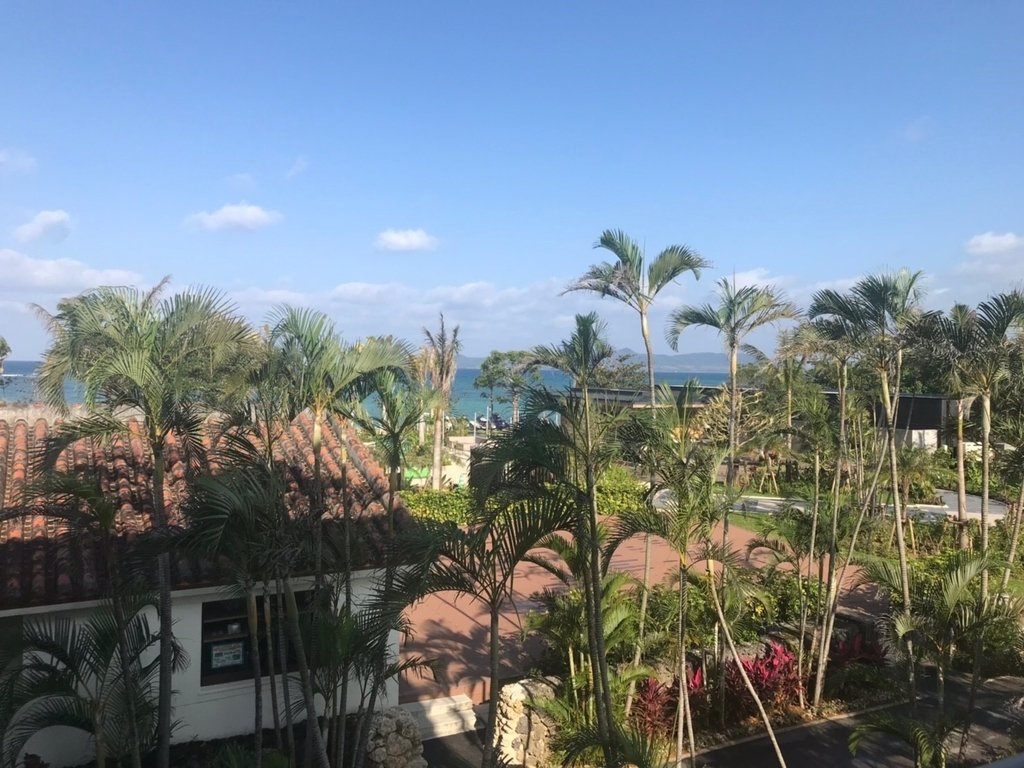 f:id:tainers:20190225231517j:plain f:id:tainers:20190225231517j:plain