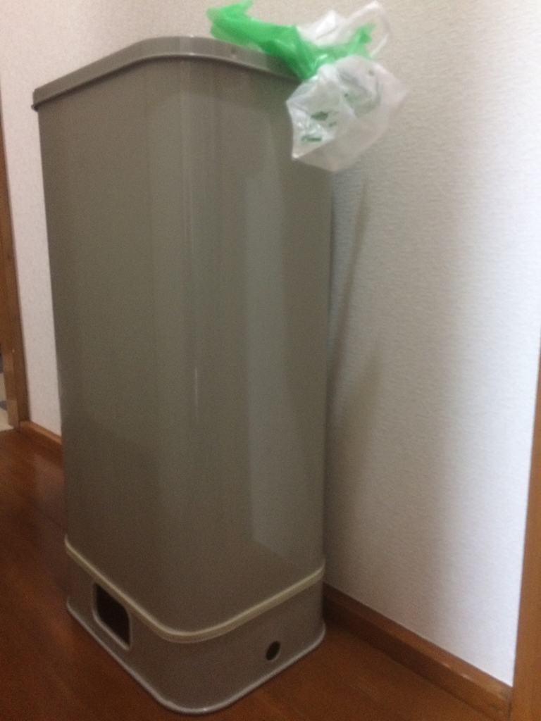 f:id:tainosashimi:20190108193443j:plain f:id:tainosashimi:20190108193443j:plain