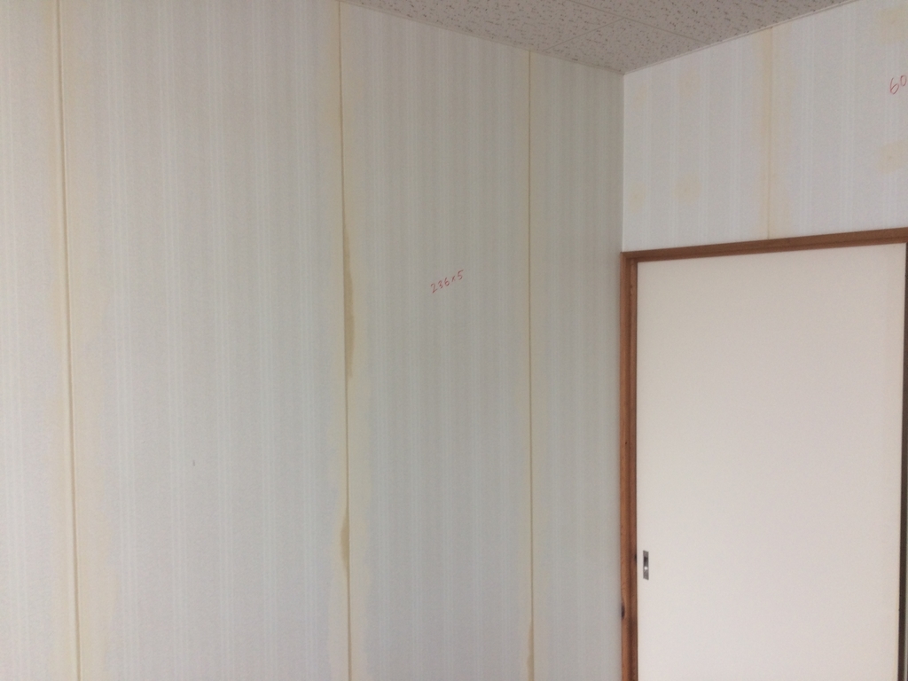 f:id:tainosashimi:20190117192903j:plain f:id:tainosashimi:20190117192903j:plain
