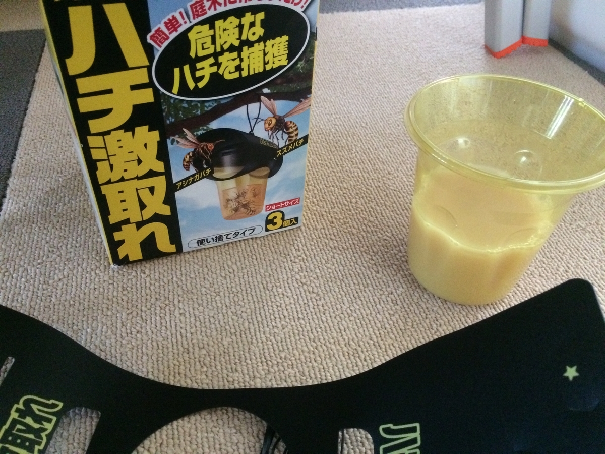 f:id:tainosashimi:20190930200345j:plain f:id:tainosashimi:20190930200345j:plain