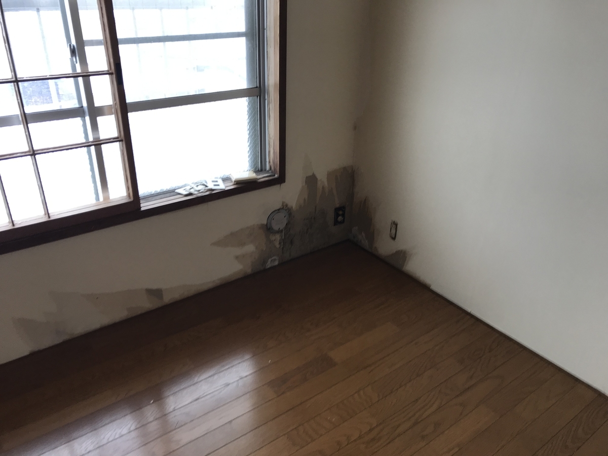 f:id:tainosashimi:20191204201216j:plain f:id:tainosashimi:20191204201216j:plain