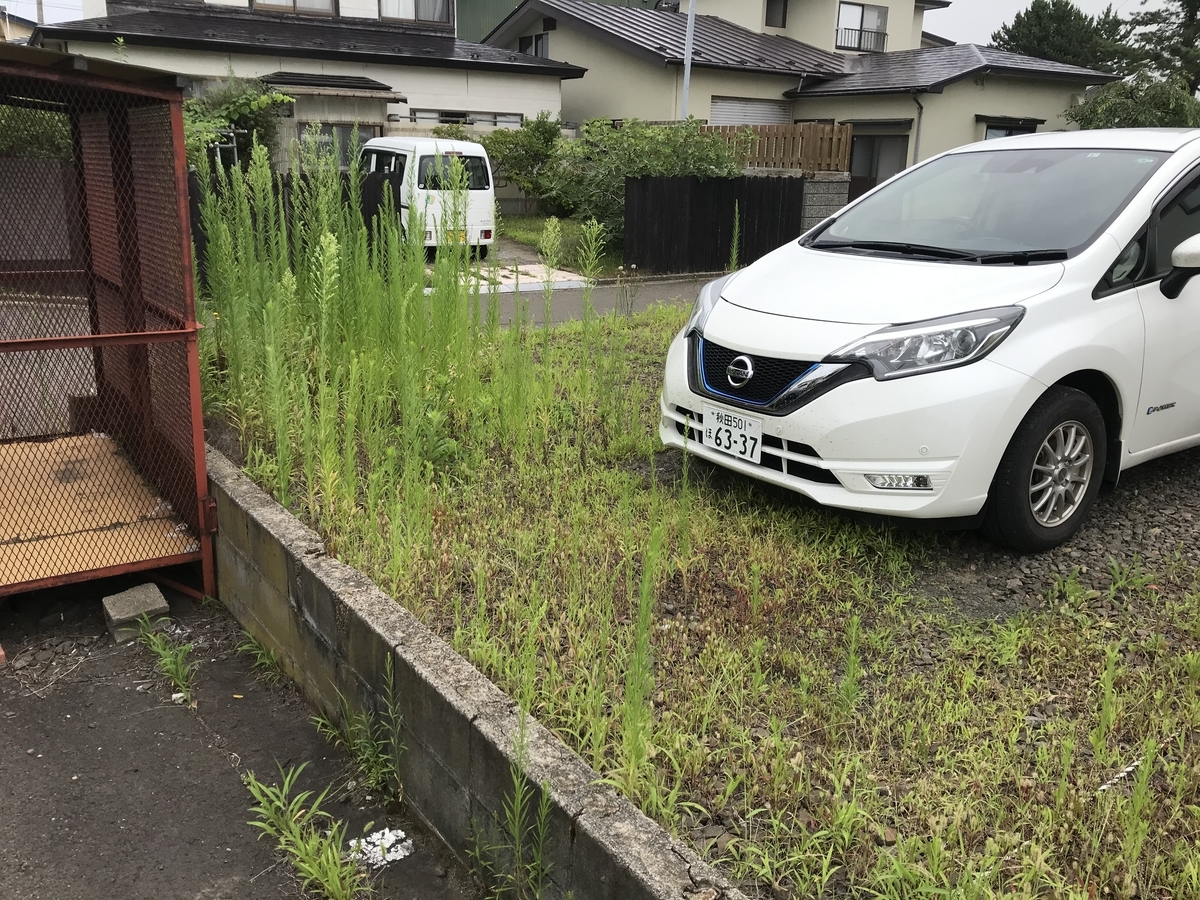 f:id:tainosashimi:20200804190519j:plain