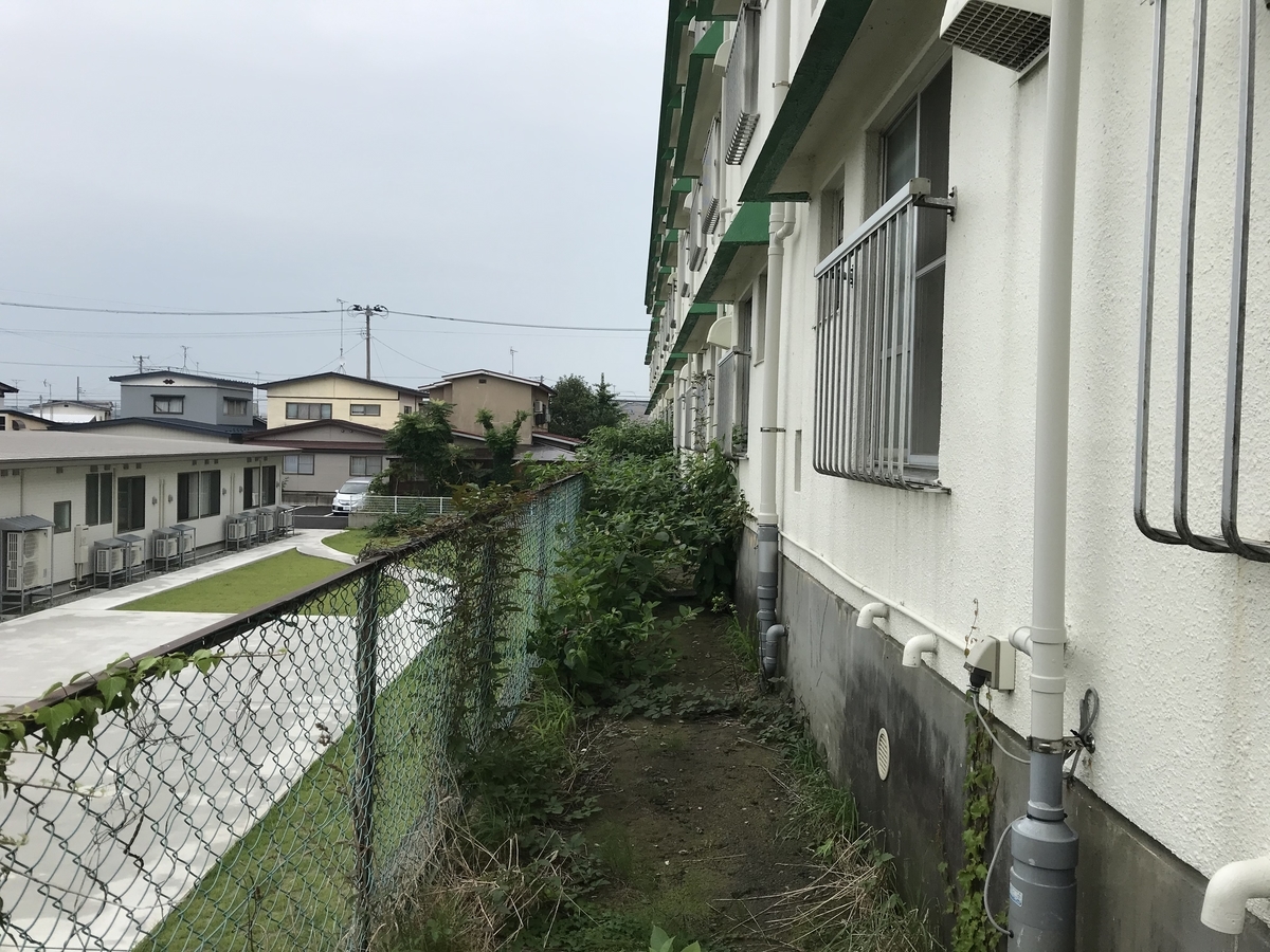 f:id:tainosashimi:20200804190531j:plain