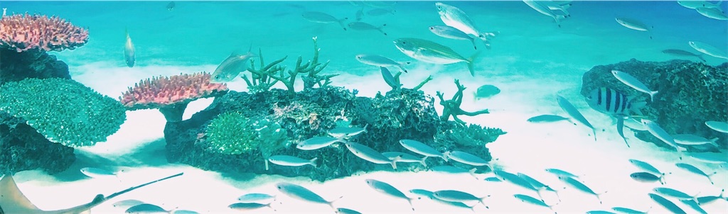 f:id:taira005:20211013191205j:image