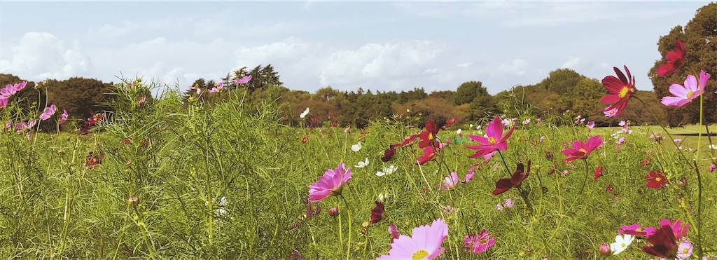 f:id:taira005:20211013191812j:image